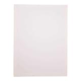 Flat Artist Canvas (Assorted Sizes and Quantities) - 2