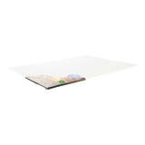 Flat Artist Canvas (Assorted Sizes and Quantities)