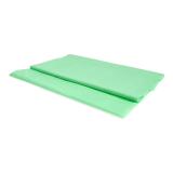 Rectangular Green Plastic Tablecloth