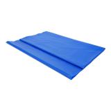 Rectangular Blue Plastic Tablecloth - 1