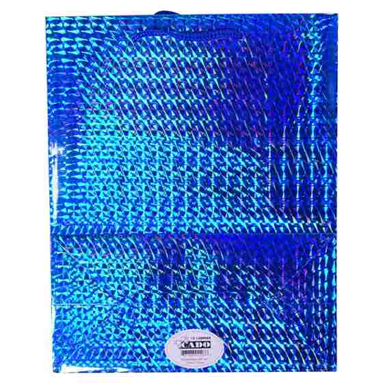 Sac cadeau étincelant grande taille (Couleurs et motifs assortis)