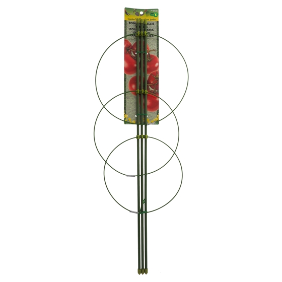 Tomato Trellis