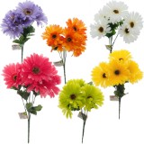Bouquet de marguerites (Couleurs assorties) - 2
