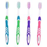 Toothbrush (Assorted Colours)