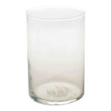 Short Cylinder Clear Glass Vase