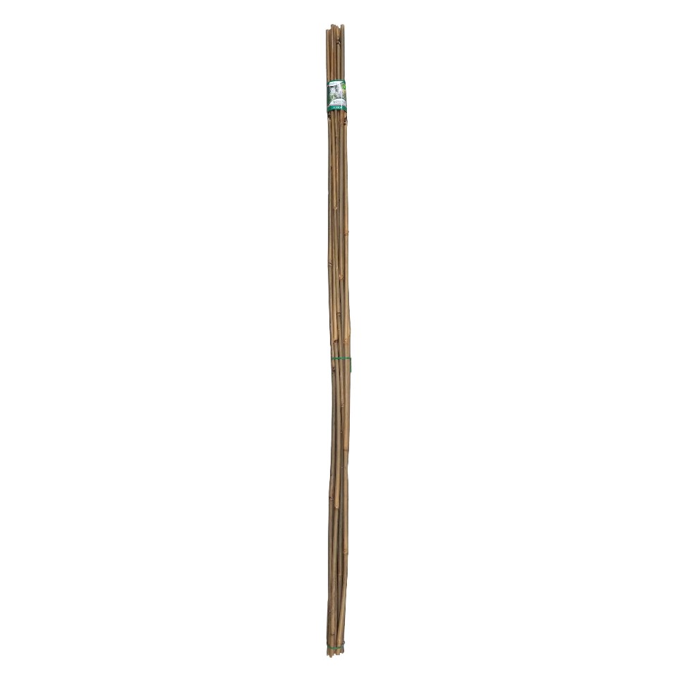Paq. de 6 piquets en bambou