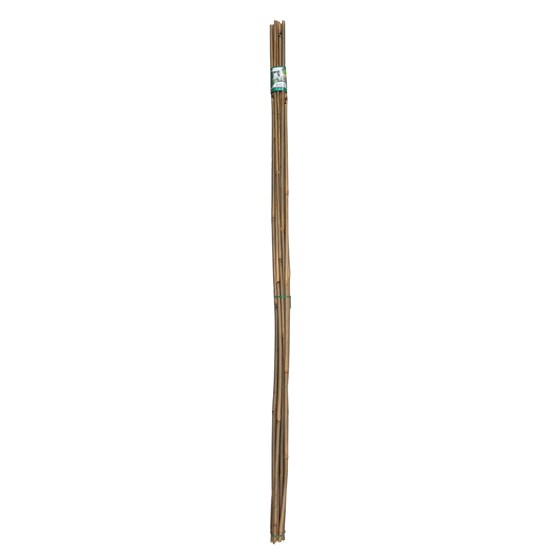 6Pk Bamboo Plant Stakes