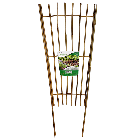 Bamboo Garden Teillis (Assorted styles)