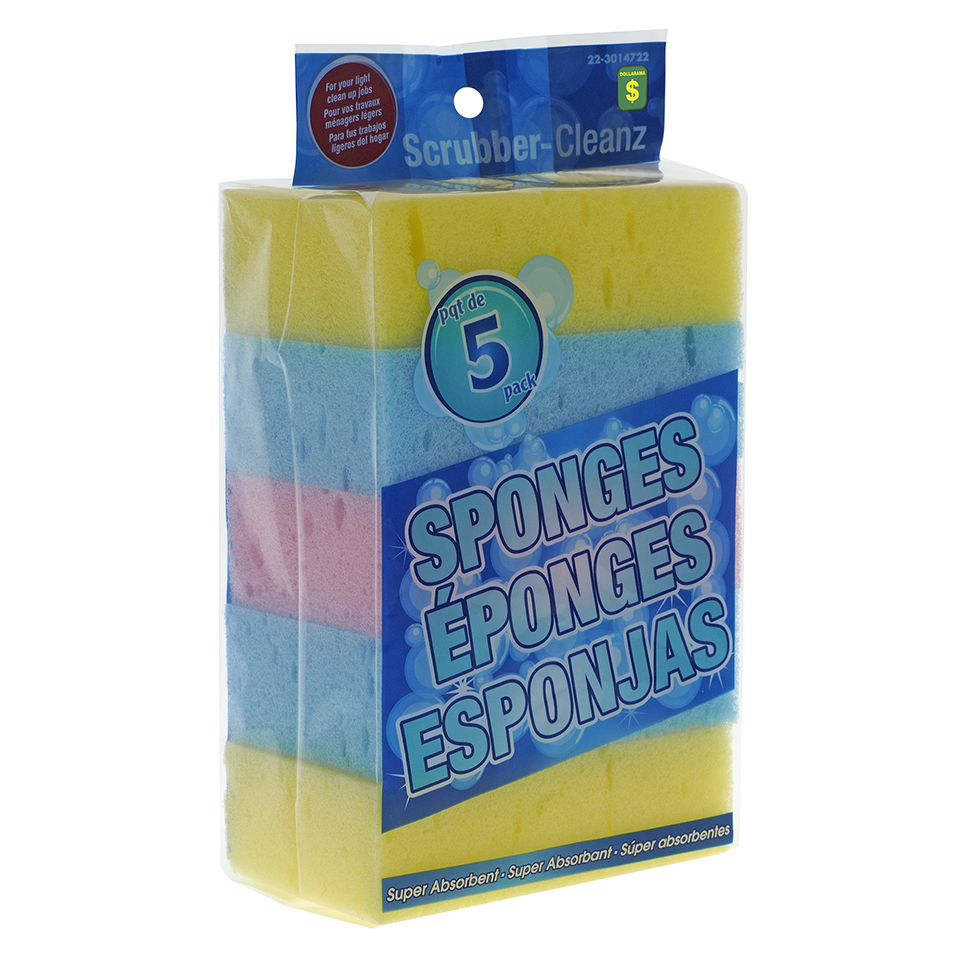 5Pk Rainbow Sponges