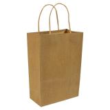 Paper Bags with Handles (Assorted Sizes)