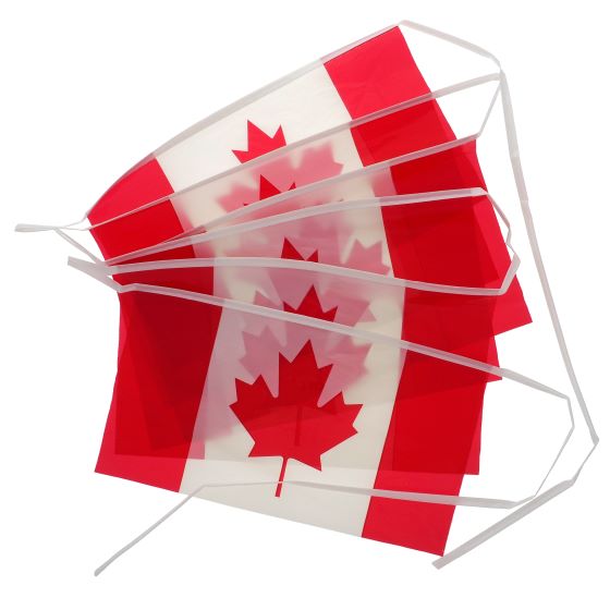 Bannière de drapeaux du Canada