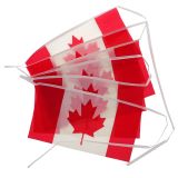 Canada Flag Banner - 0