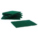 Scouring Pads 8PK - 1