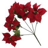 Poinsettia Christmas Flowers - 0