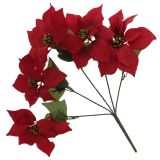 Plante Poinsettia de Noël - 0