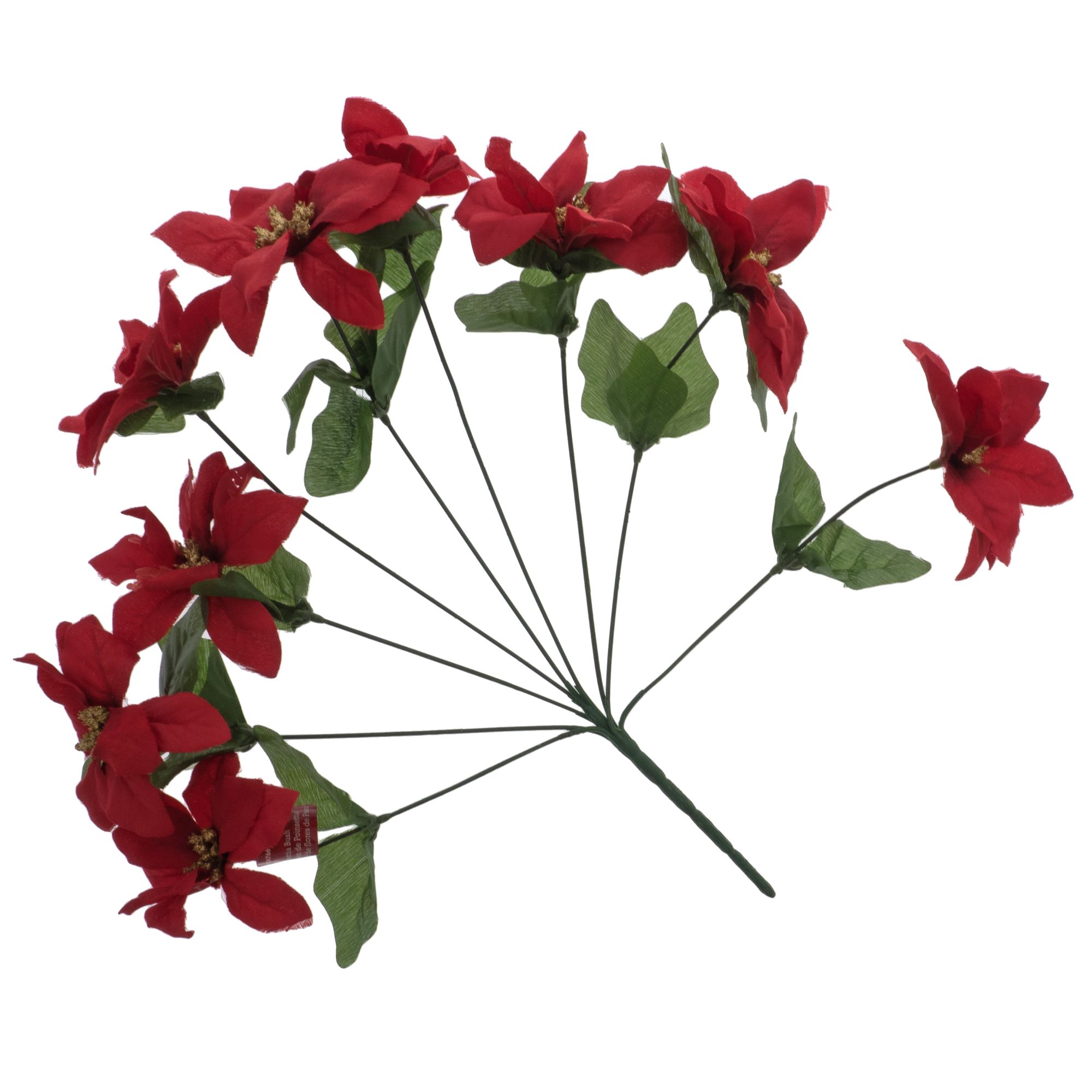 Poinsettia Christmas Flowers - Case of 24