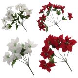 Plante Poinsettia de Noël - 3
