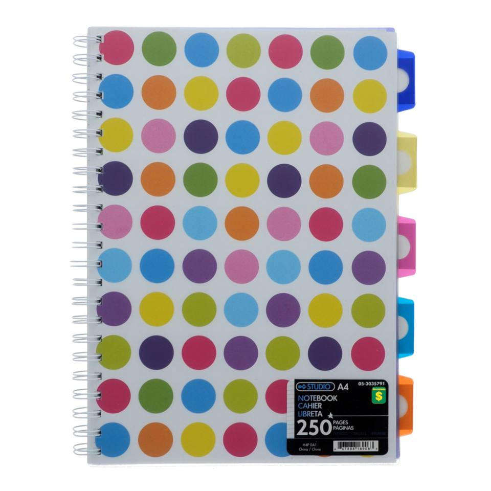 Cahier de notes 250 pages A4