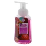 Foaming Handwash (Assorted Scents) - 0