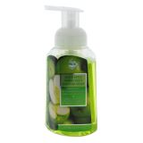 Foaming Handwash (Assorted Scents) - 1