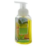 Foaming Handwash (Assorted Scents) - 3