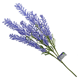 Lavender Bunch with Leaves - 1