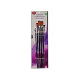 5PK Assorted Long Painting brushes