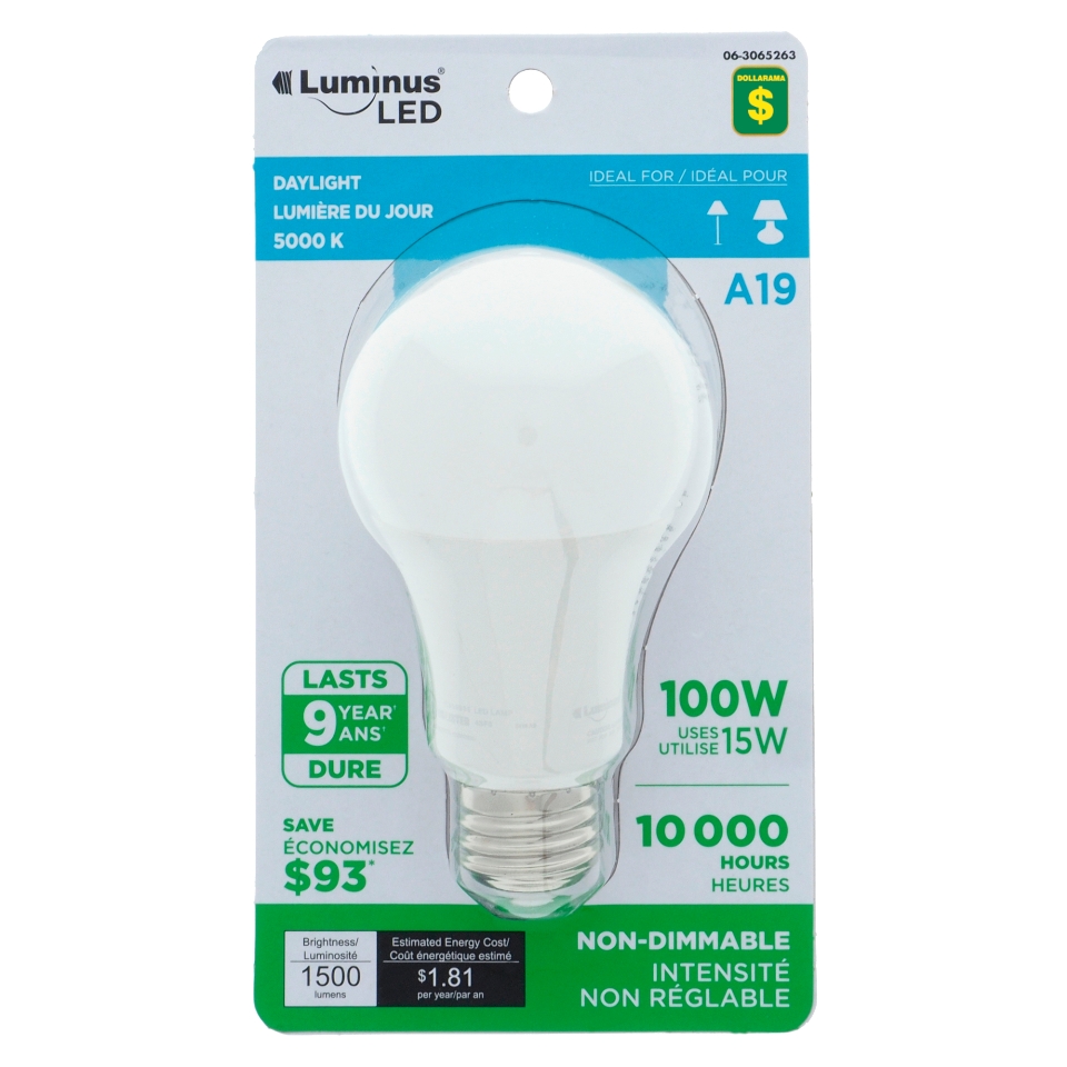 Ampoule à DEL A19 100W blanc froid