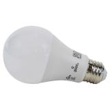 Ampoule à DEL A19 100W blanc froid - 1