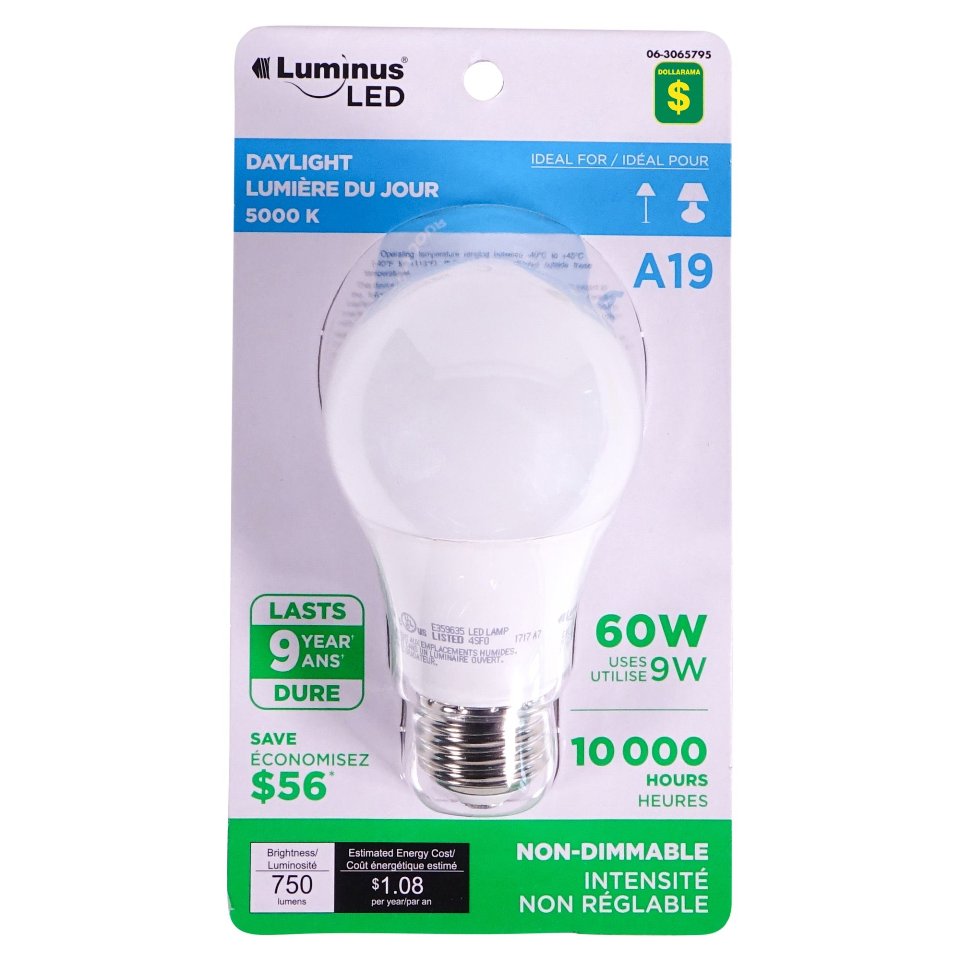 A19 60W LED Day Light bulb