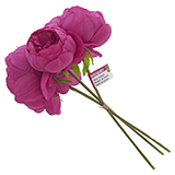 3Pk Peony Bouquet (Assorted colors)