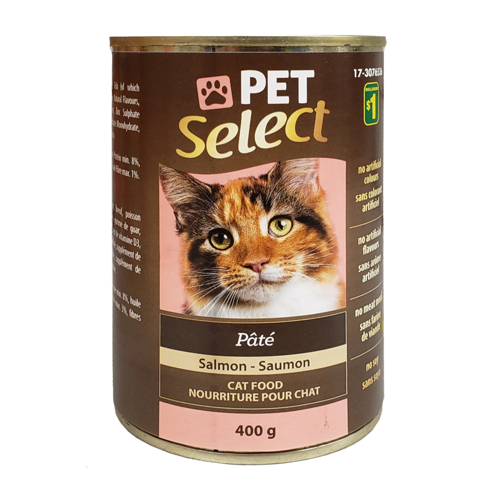 Cat Food Pate With Salmon